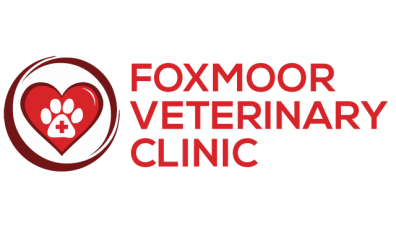 1235 - Foxmoor Veterinary Clinic - Header Logo